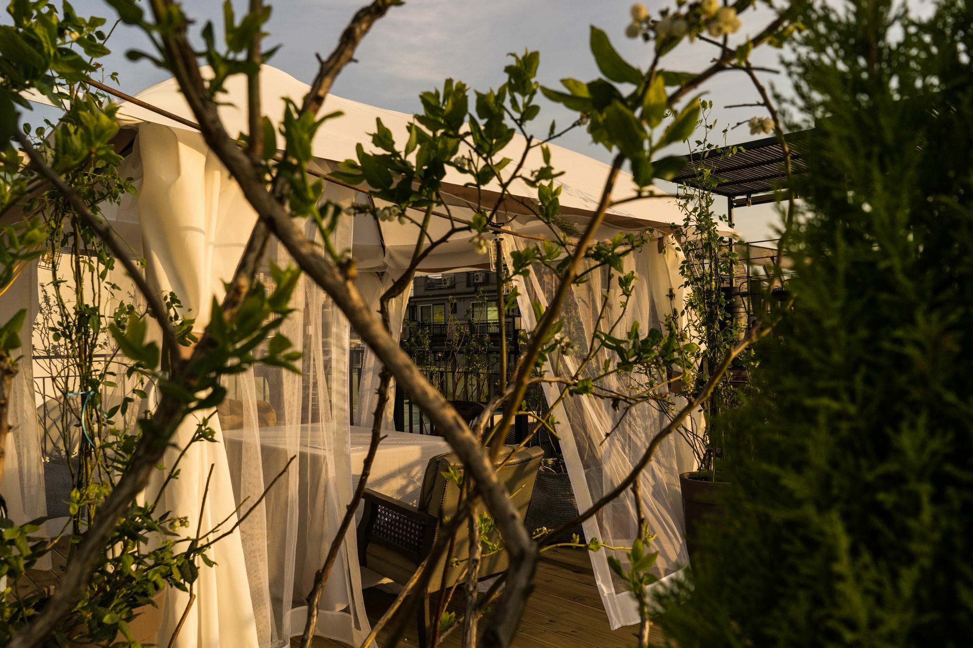 Tetto House Rooftop Garden Szöul Kültér fotó